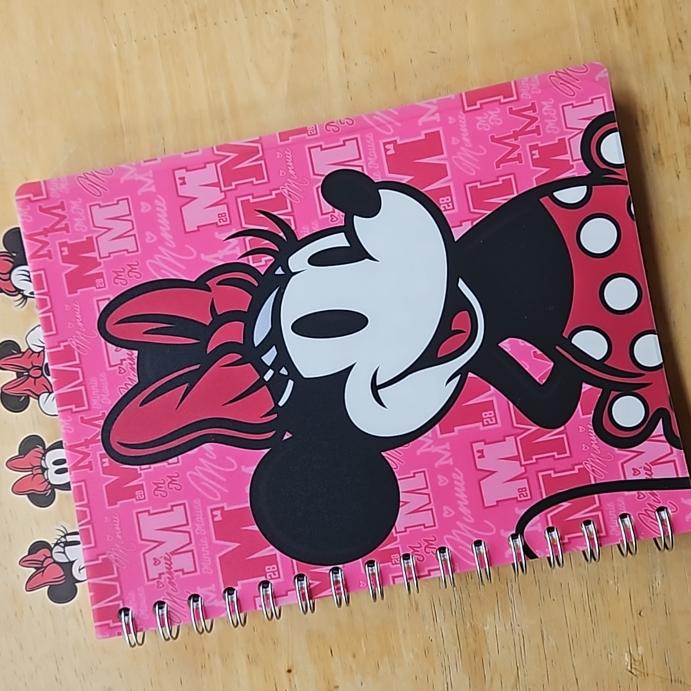 MINNIE MOUSE JOURNAL - Picture 11 of 12